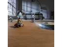 Cecotec Conga X70 Robot Vacuum Cleaner