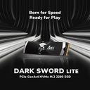 DATO Dark Sword Lite 2TB SSD For PS5