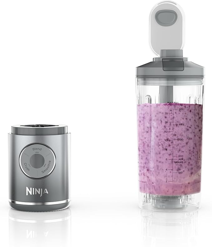 Ninja Blast Taşınabilir Blender Platin Gümüş 650 ml (BC251SL)