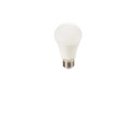 DuraGreen 10W LED Bulb B22